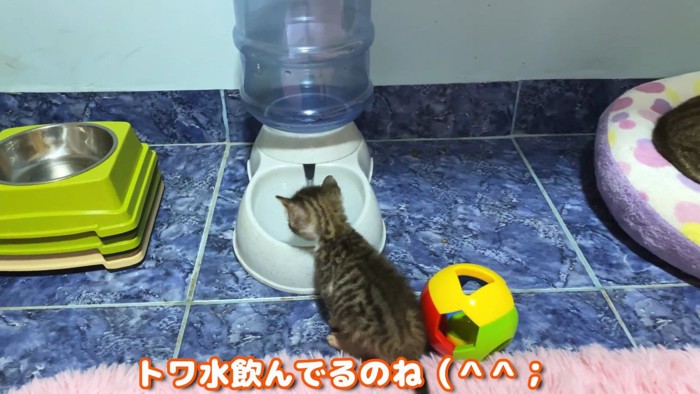 テロップ「トワ水飲んでるのね」