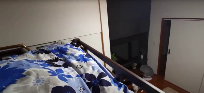 歩いている猫