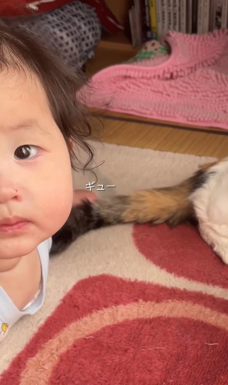 猫の尻尾を掴んでいる赤ちゃん
