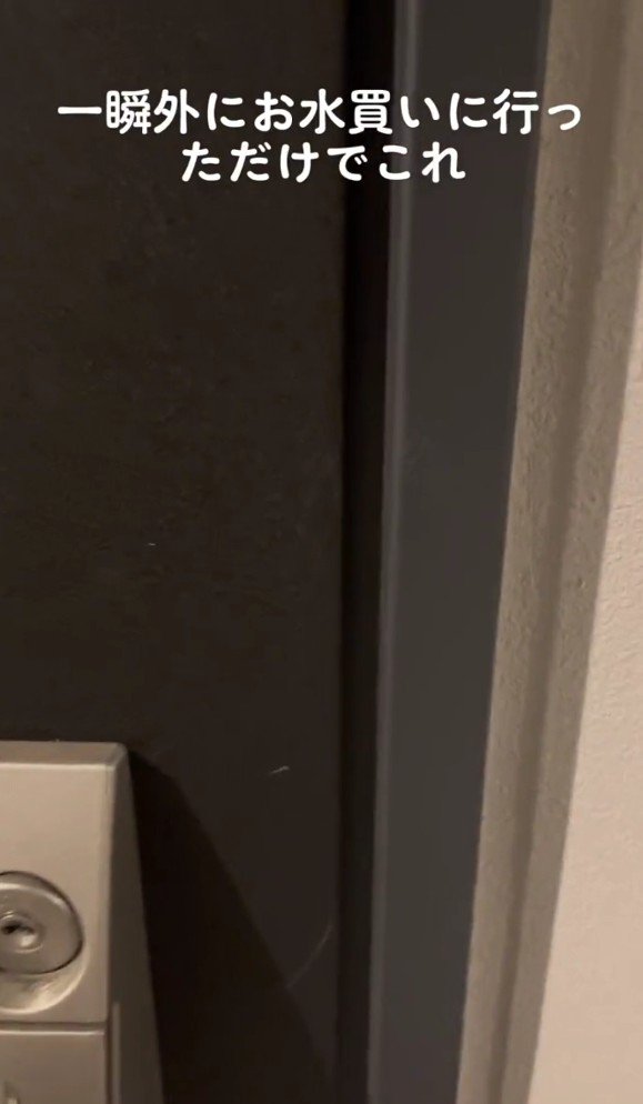 ドア