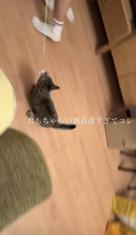 「おもちゃへの執着凄すぎてコレ」のテロップ写真3