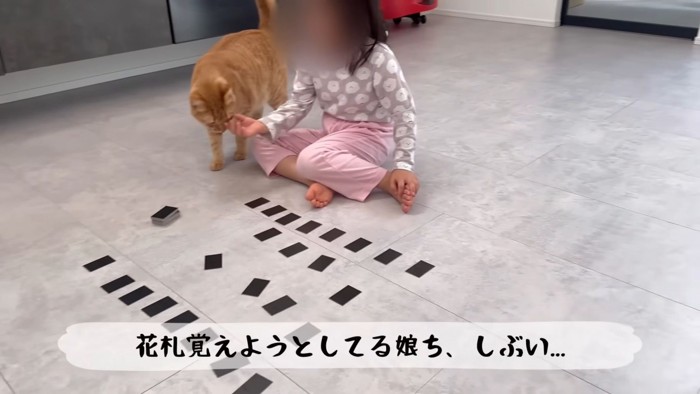 テロップ「花札を覚えようとしてる~」
