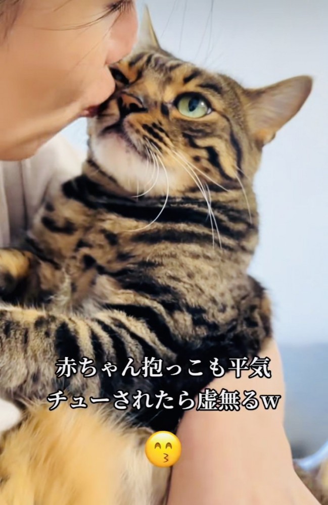 飼い主さんに抱っこされながらキスされる兄ベンガル