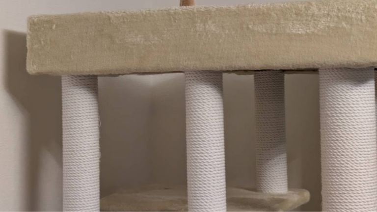 キャットタワー