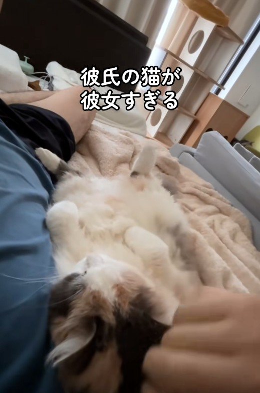 寝転んでいる人と猫