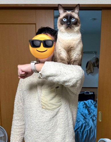 肩の上に乗る猫