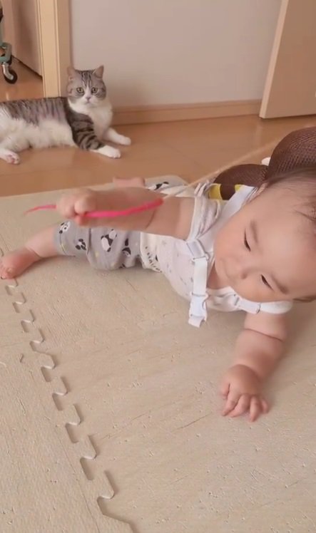 猫じゃらしを手に取る赤ちゃん