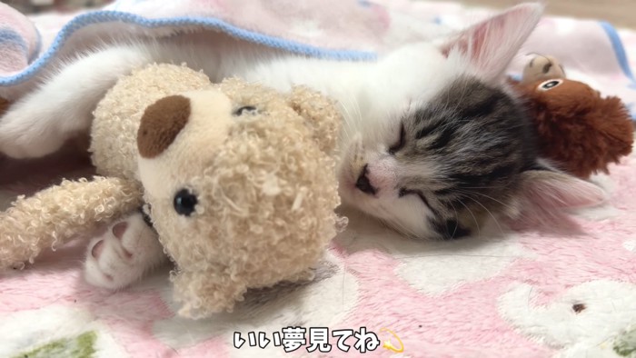 テロップ「いい夢見てね」