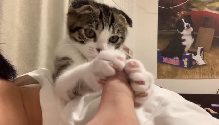 指をキャッチ