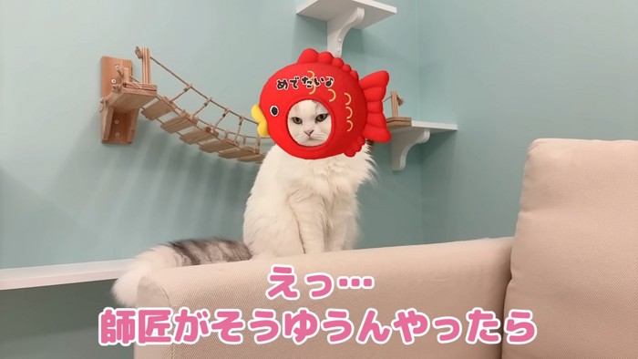 鯛をかぶるつくしちゃん