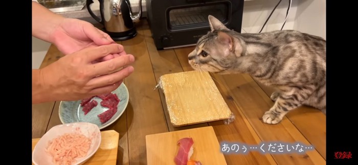 お肉で