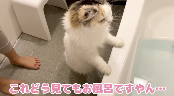 お風呂の前のつくしちゃん