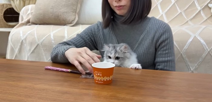 人に抱かれている猫