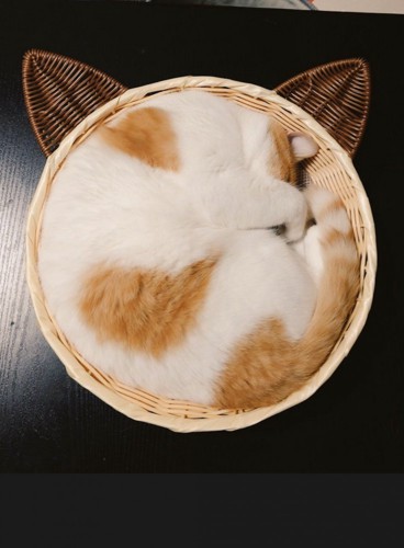 カゴの中に丸まって眠る猫