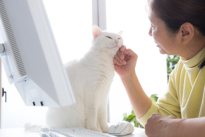 女性と猫