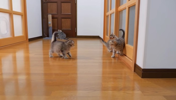 探検中