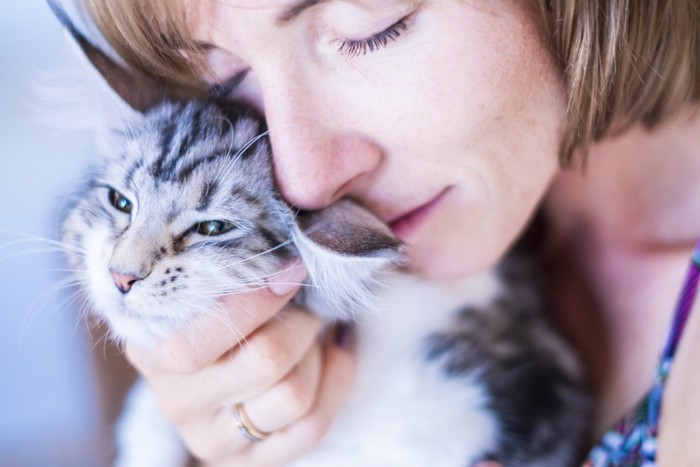 女性に抱きしめられる猫