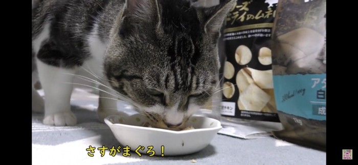 薬入りでも食べる