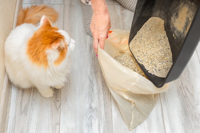 猫のトイレを洗っているところ
