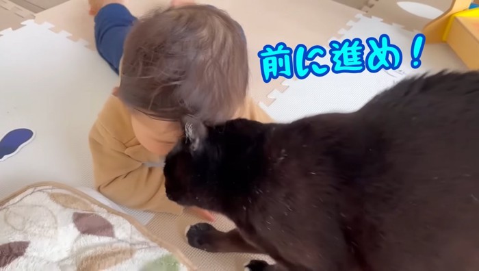 前に進め！