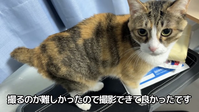 「撮るのが難しかったので...」のテロップ写真