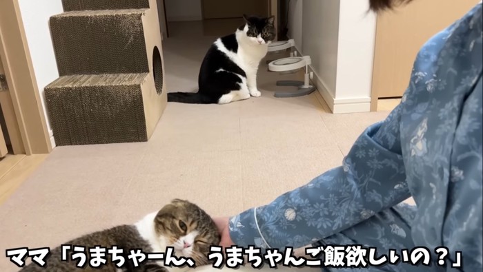 待機するうま次郎くん
