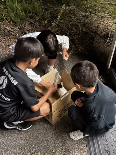 箱の周りにいる子どもたち