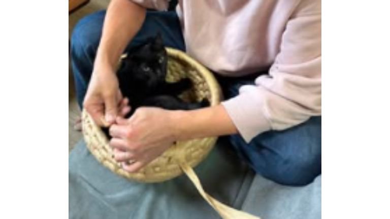 男性と黒猫
