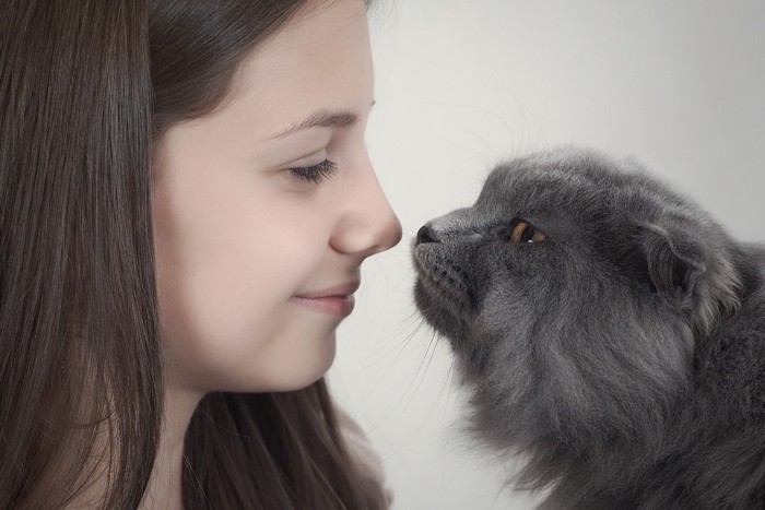 女性に鼻チューする猫