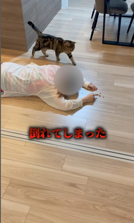 飼い主さんが倒れてしまった