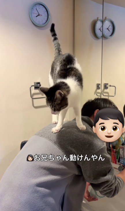 男の子の背中から降りる猫