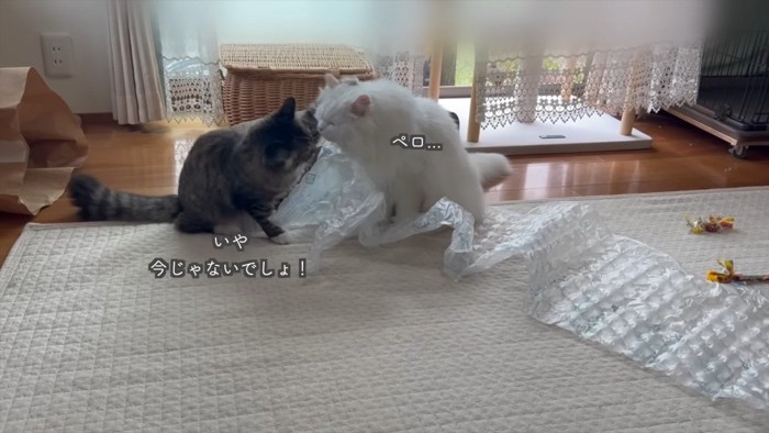 ペロ…