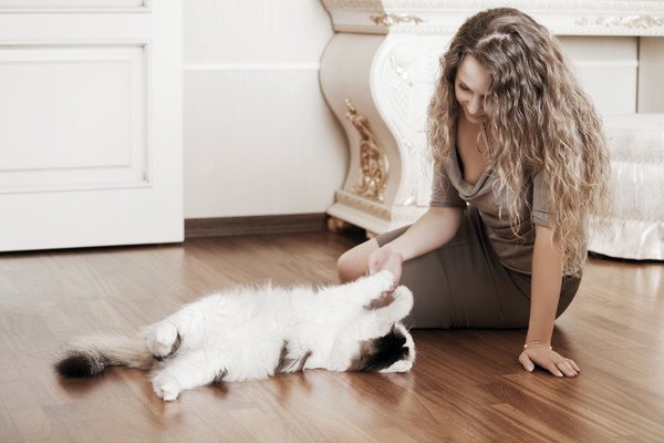 手遊びする猫と女性