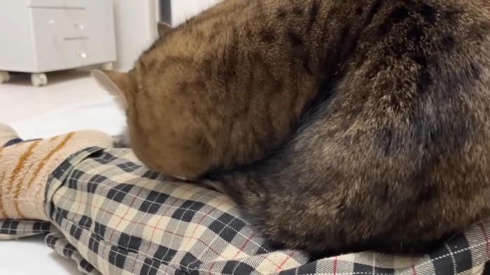 横からのアップ