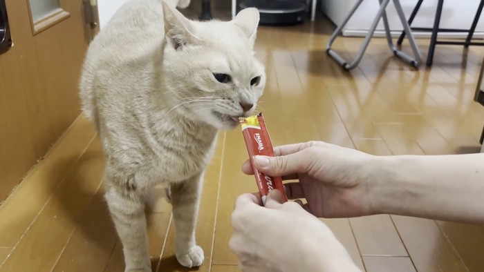 おやつ