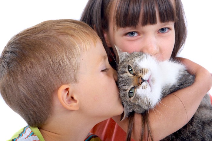 猫と子ども