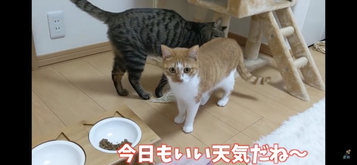 食後