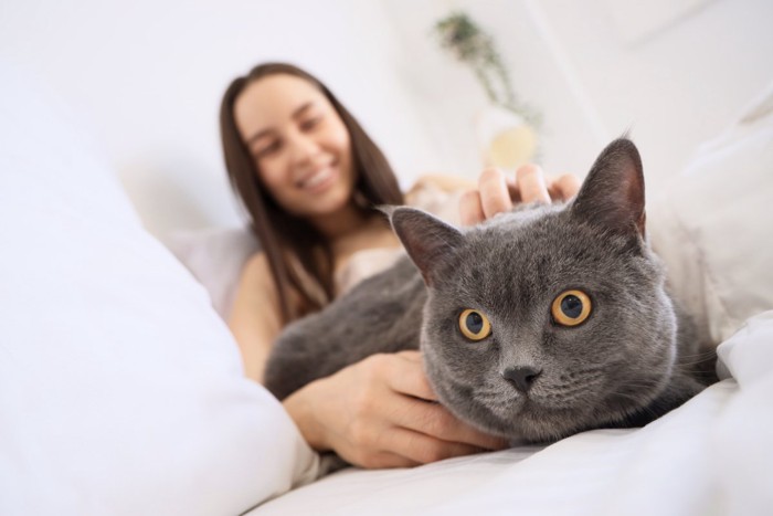 女性に撫でられている猫