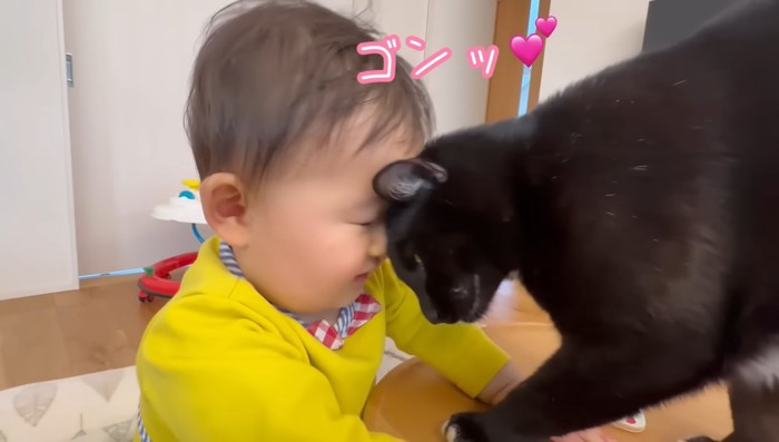ゴンッ