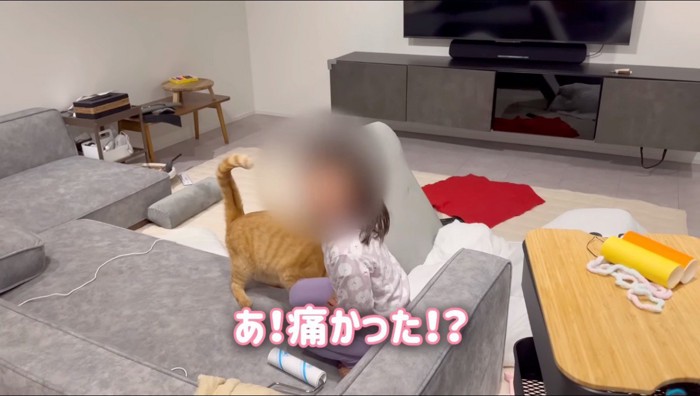 ソファの上にうずくまる女の子