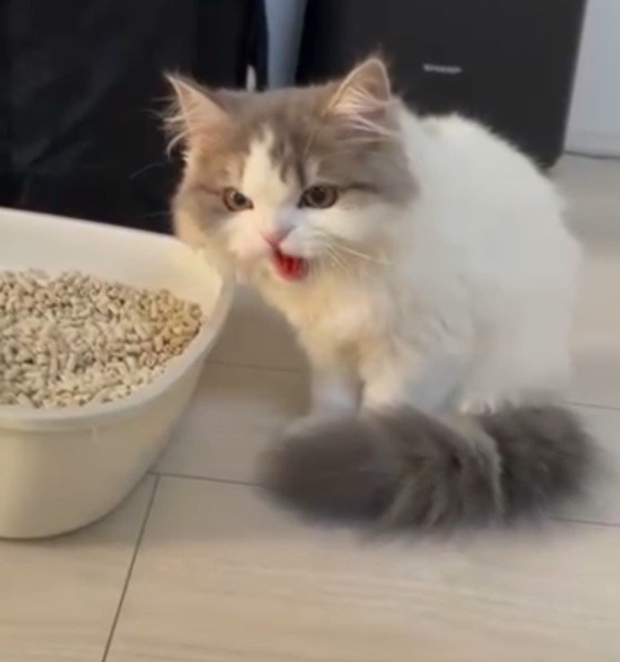 威嚇1
