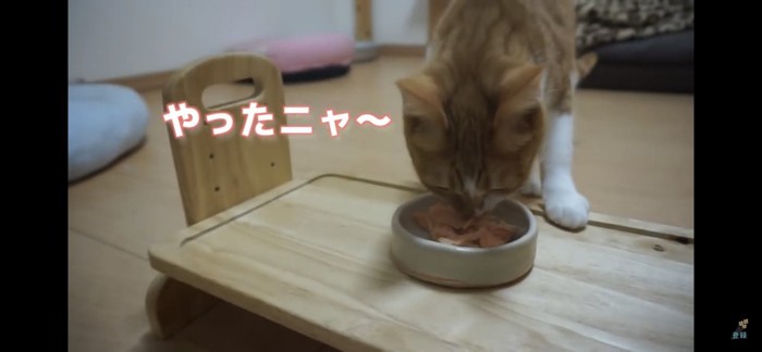 食べ始める