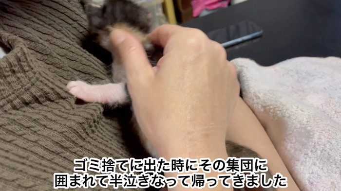 よじ登るおこげちゃん