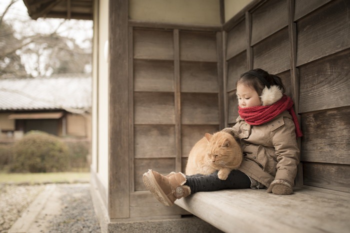 女の子の膝にのる猫