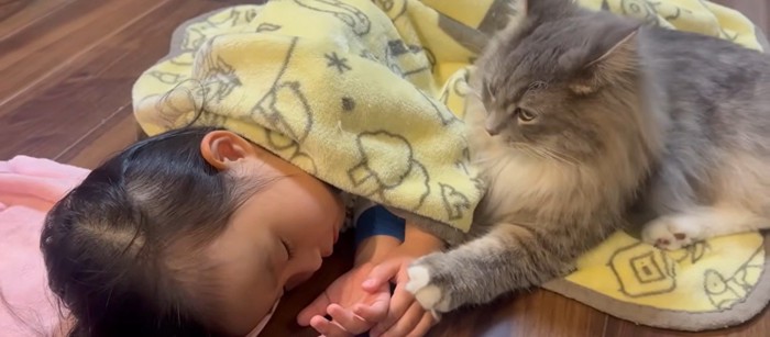 寝ている子どもと猫