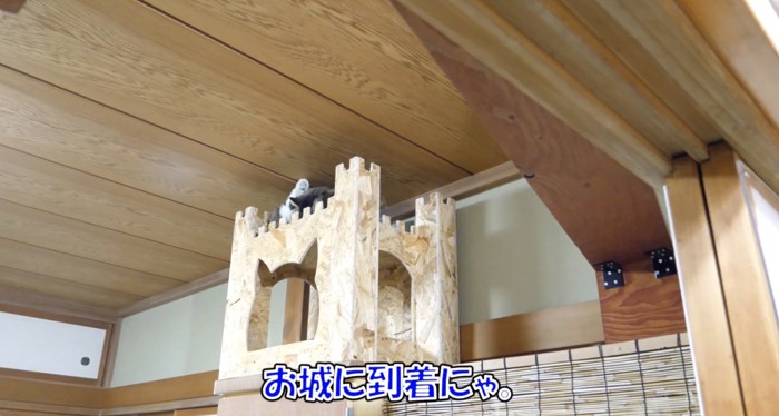 お城に着いたボス吉くん