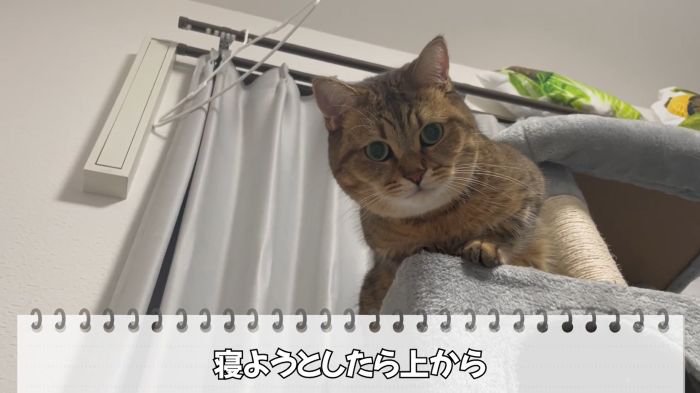 視線を送るみにらくん