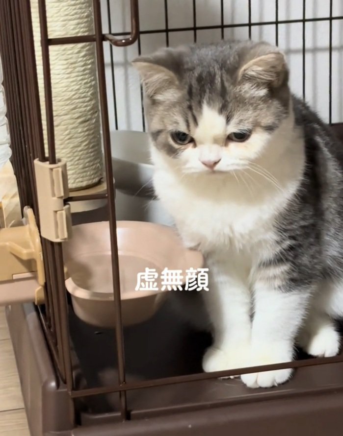 下を向くぐるくん