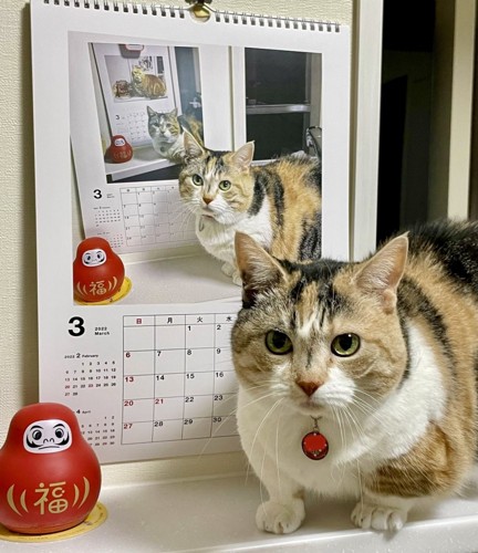 2022年のカレンダーの前にいるねこ