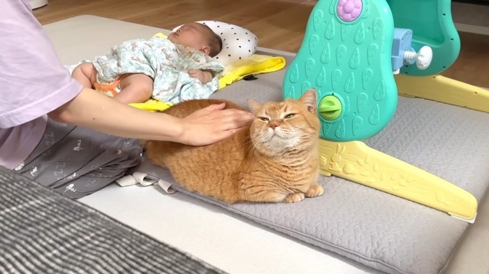 背中なでなで
